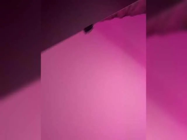 BongaCams CurvyWoman- is Freechat CurvyWoman- — My name is Lina, meow! Welcome to my room, shall we have fun?) Favorite vibration - 20inst: curvywoman_00